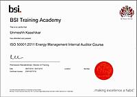 Internal Energy Auditor